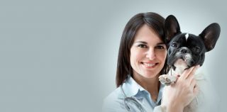 VEC Toronto | Full service Veterinary Emergency Clinic