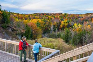 Take TD Rouge Express to Rouge National Urban Park for free!