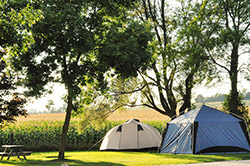 cheap camping in toronto Yogi Bear's Jellystone Park Camp-Resort