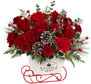 Christmas Flowers Collection
