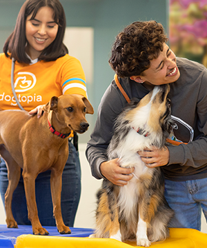 Image of dogs at Dogtopia that links to meet and greet start
