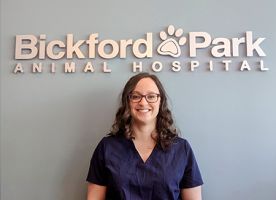 veterinary clinics in toronto Bickford Park Animal Hospital