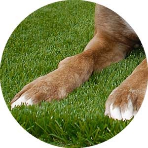 Bella Turf artificial grass for Pets