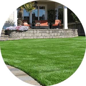Bella Turf artificial grass for landscaping