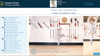 kung fu lessons toronto STQI Toronto